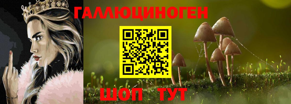 Псилоцибиновые грибы прущие грибы  Псилоцибиновые грибы Psilocybe  Вход с VPN  Майский 